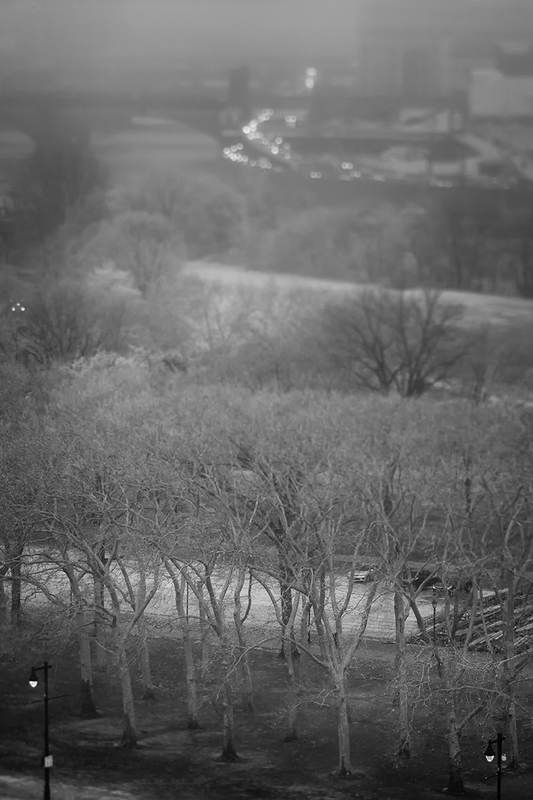 Epping Forest Fear of the Marketplace Public Spaces Fine Art